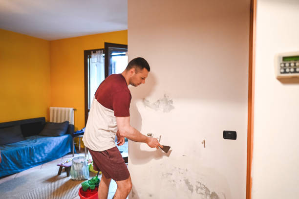 Best Mold Remediation for Schools in Swannanoa, NC